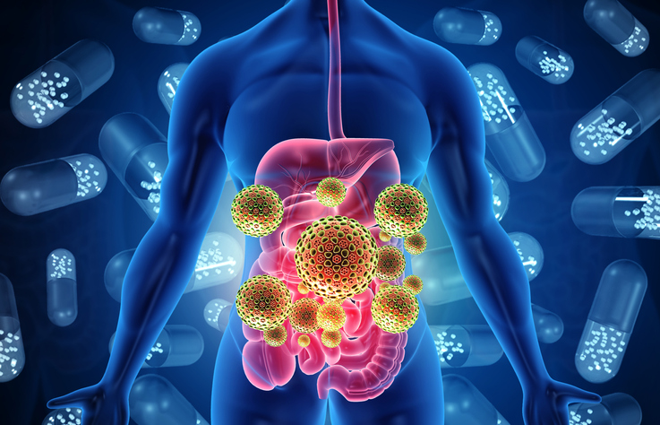 Overview of the Gut Microbiome and Its Role in GVHD