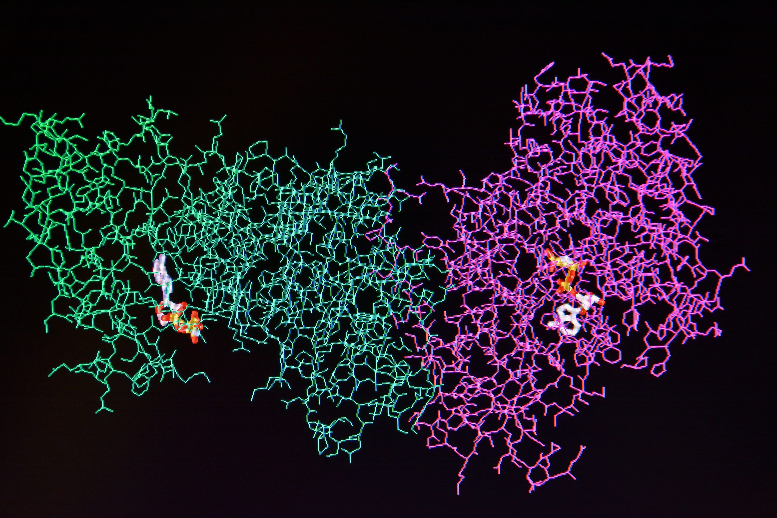 Identifying Biomarkers for Acute Graft-Versus-Host Disease Via Multiplex Proteomics