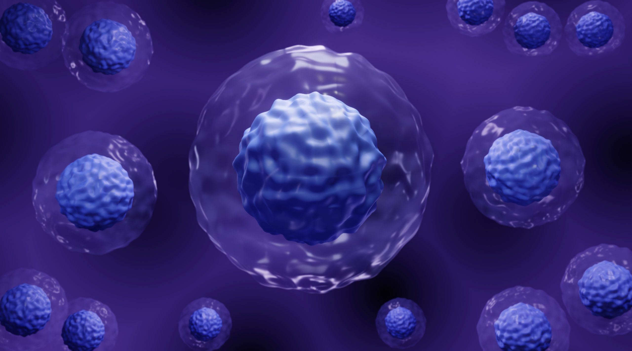 Minimum Residual Disease and Cytogenetic Persistence Prior to Hematopoietic Cell Transplant