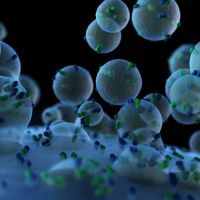 Antigen Profiles and MicroRNA Cargo as Biomarkers for Acute Graft-Versus-Host Disease