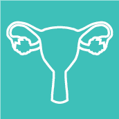 Gyn-Onc